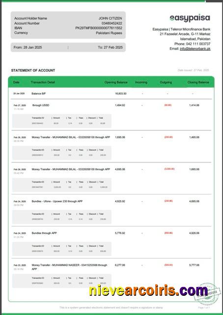 Pakistan Easypaisa statement of account Word and PDF